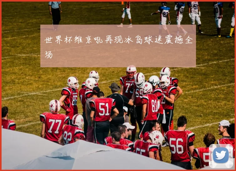世界杯维京吼再现冰岛球迷震撼全场
