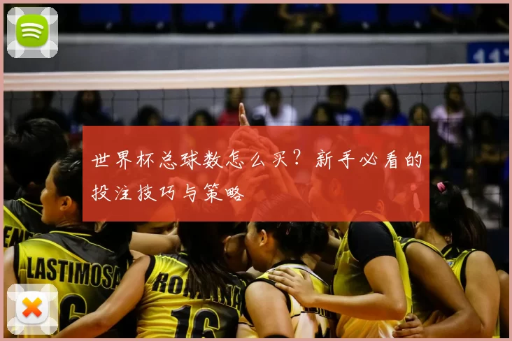 世界杯总球数怎么买?新手必看的投注技巧与策略