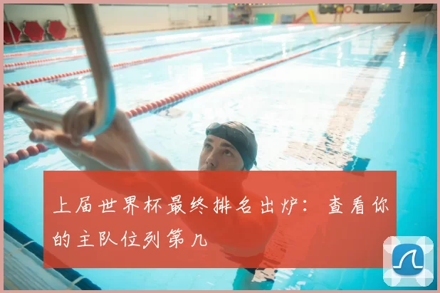 上届世界杯最终排名出炉:查看你的主队位列第几