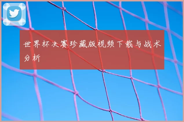 世界杯决赛珍藏版视频下载与战术分析