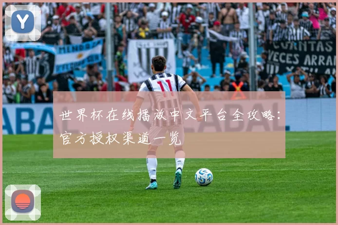 世界杯在线播放中文平台全攻略:官方授权渠道一览