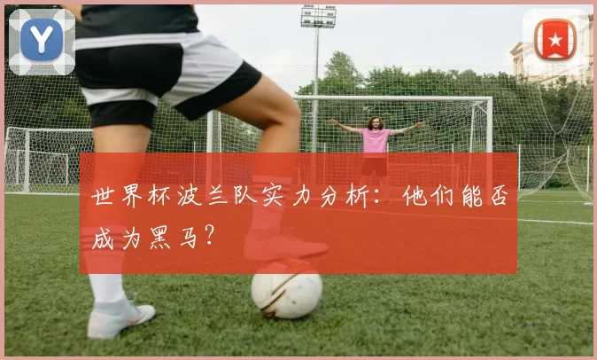 世界杯波兰队实力分析：他们能否成为黑马？