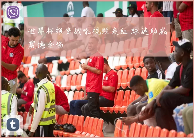 世界杯维京战吼视频走红 球迷助威震撼全场