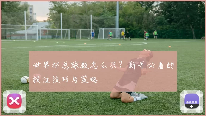 世界杯总球数怎么买？新手必看的投注技巧与策略