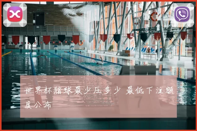 世界杯赌球最少压多少 最低下注额度公布