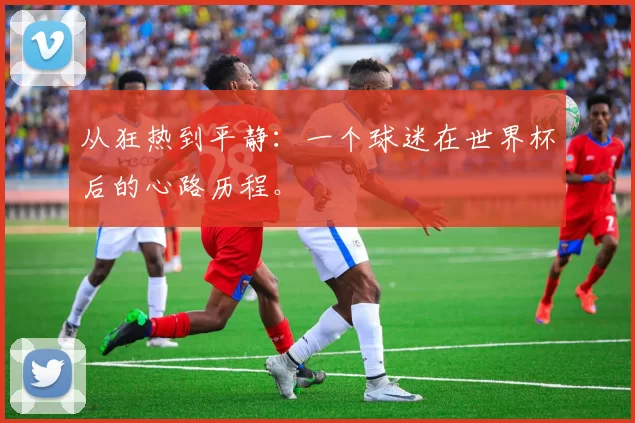 从狂热到平静：一个球迷在世界杯后的心路历程。