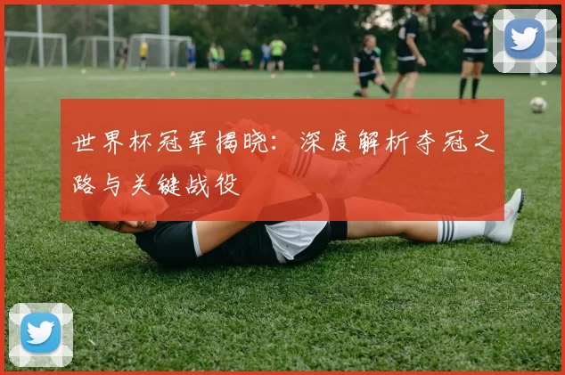 世界杯冠军揭晓：深度解析夺冠之路与关键战役
