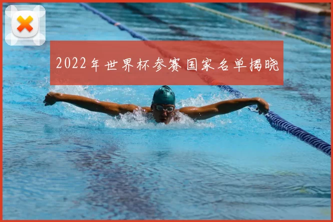 2022年世界杯参赛国家名单揭晓